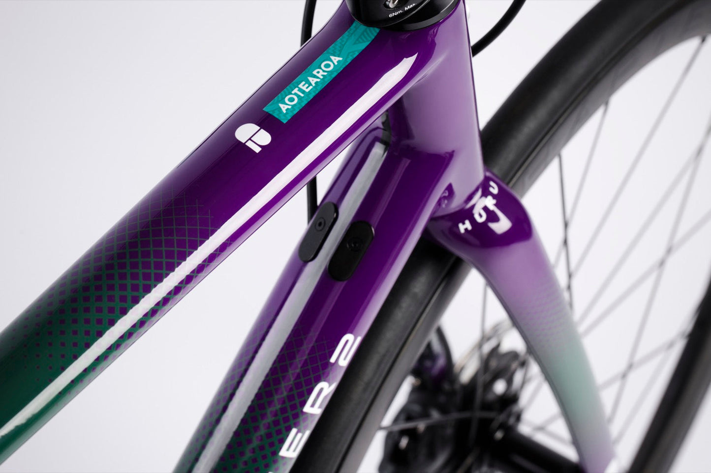HURU GREEN + PURPLE (RAKIURA)