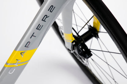 RERE METALLIC SILVER + YELLOW (TAUHOU)
