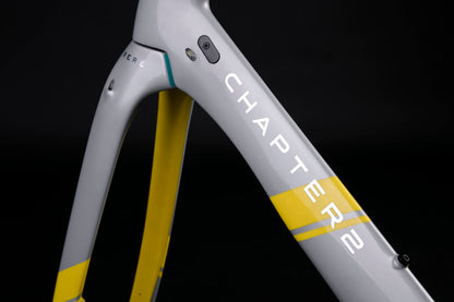 RERE METALLIC SILVER + YELLOW (TAUHOU)