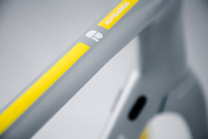 RERE METALLIC SILVER + YELLOW (TAUHOU)